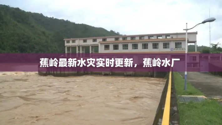 无拘无束 第4页