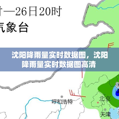 第2393页
