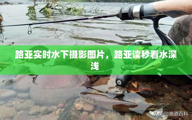 路亚实时水下摄影图片，路亚读秒看水深浅 