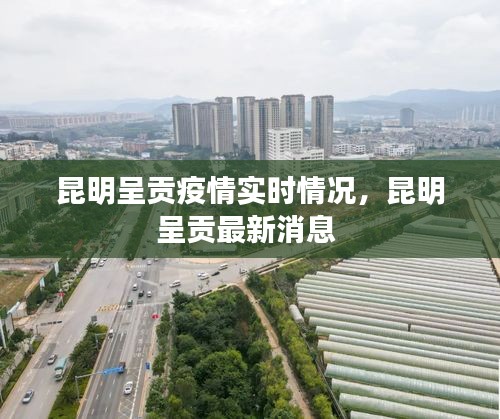 昆明呈贡疫情实时情况，昆明呈贡最新消息 