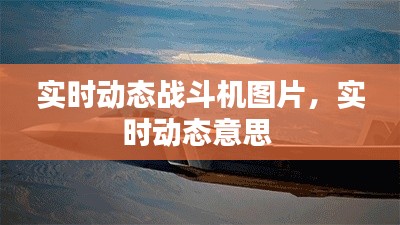 实时动态战斗机图片，实时动态意思 