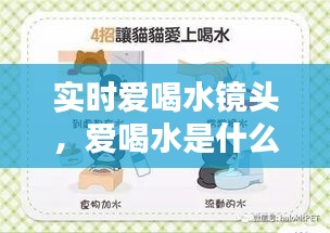 实时爱喝水镜头，爱喝水是什么病的征兆 