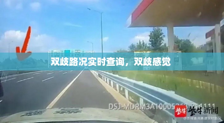 真独简贵 第4页