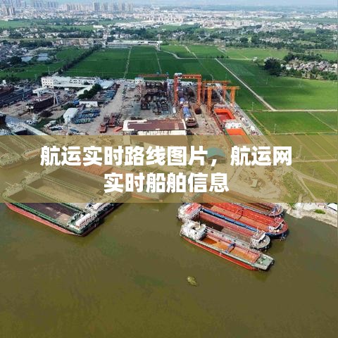 航运实时路线图片，航运网 实时船舶信息 