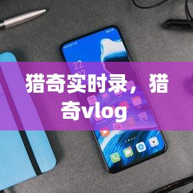 猎奇实时录，猎奇vlog 