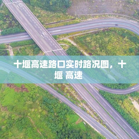 张袂成阴 第4页