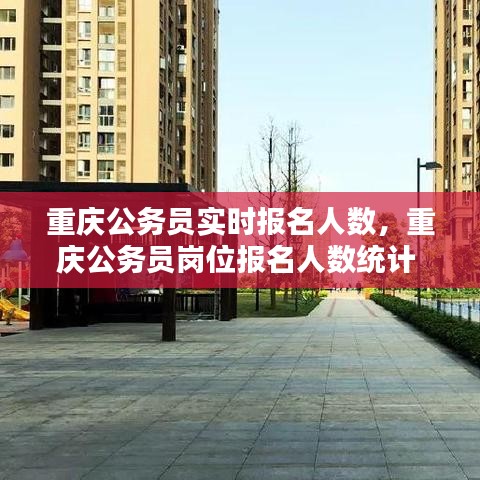 重庆公务员实时报名人数，重庆公务员岗位报名人数统计 