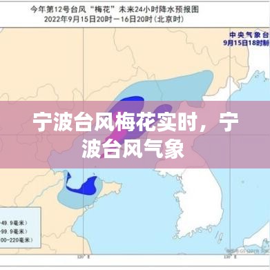 无影无踪 第4页