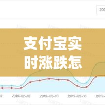 支付宝实时涨跌怎么看，支付宝哪里可以看股票涨跌 