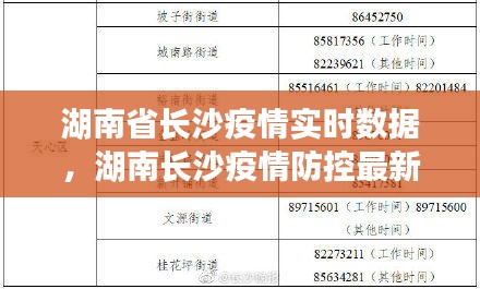 湖南省长沙疫情实时数据，湖南长沙疫情防控最新通知 