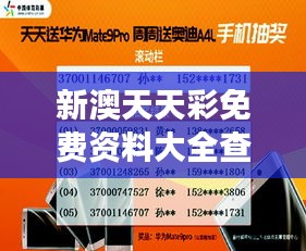 新澳天天彩免费资料大全查询:揭示信息背后的真实故事与秘密