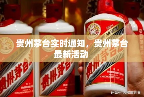 贵州茅台实时通知，贵州茅台最新活动 