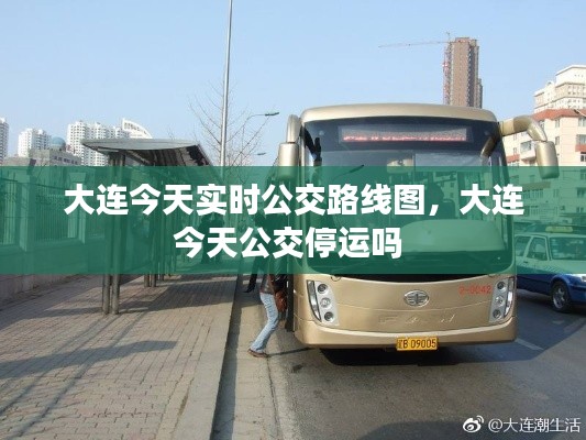 大连今天实时公交路线图，大连今天公交停运吗 