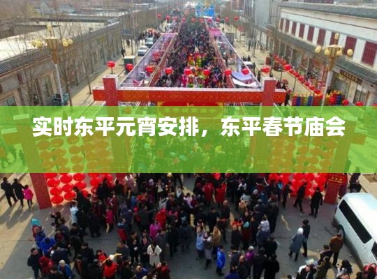 实时东平元宵安排，东平春节庙会 