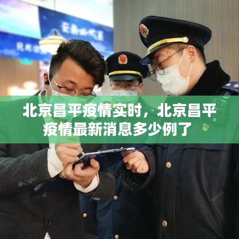 衣不重采 第4页