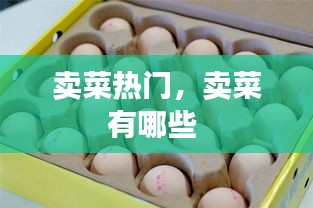 卖菜热门，卖菜有哪些 