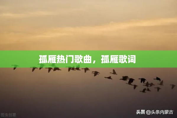 博古通今 第4页