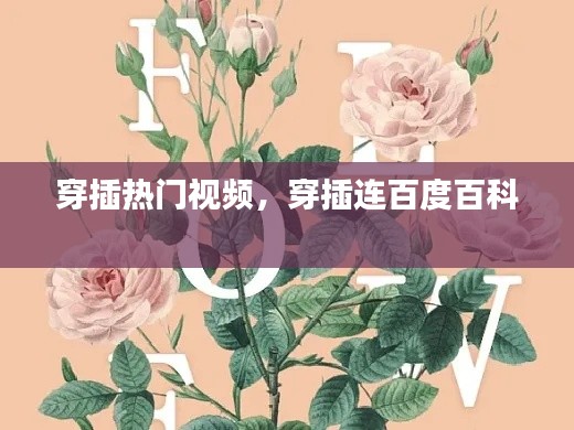 穿插热门视频，穿插连百度百科 