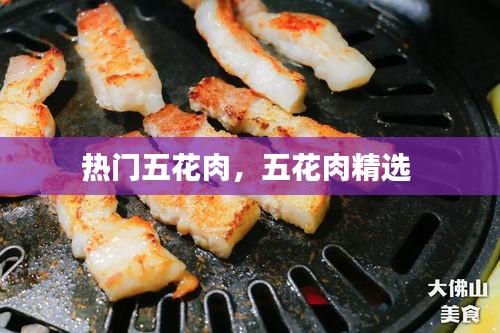 热门五花肉，五花肉精选 