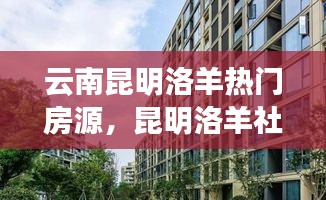 云南昆明洛羊热门房源，昆明洛羊社区卫生服务中心电话号码 