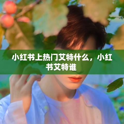 小红书上热门艾特什么，小红书艾特谁 