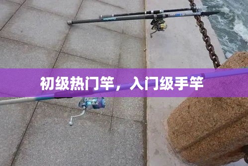初级热门竿，入门级手竿 