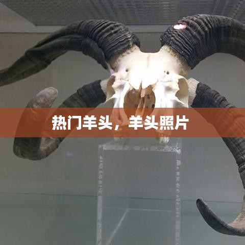 怀真抱素 第4页