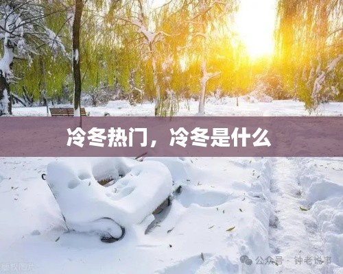冷冬热门，冷冬是什么 