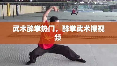 武术醉拳热门，醉拳武术操视频 