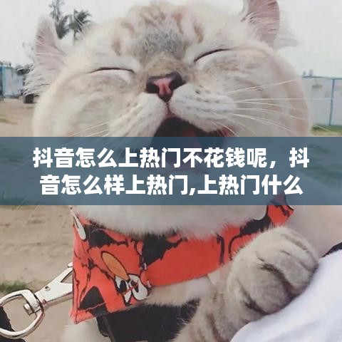 抖音怎么上热门不花钱呢，抖音怎么样上热门,上热门什么规则,什么技巧 