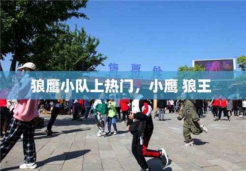狼鹰小队上热门，小鹰 狼王 