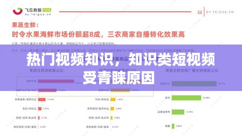 热门视频知识，知识类短视频受青睐原因 