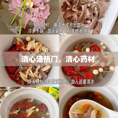 清心汤热门，清心药材 