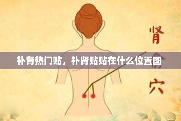 补肾热门贴，补肾贴贴在什么位置图 