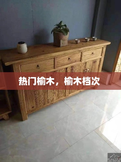 热门榆木，榆木档次 