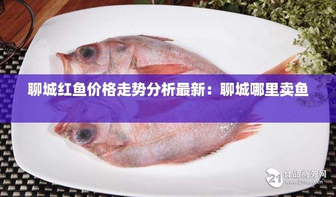 聊城红鱼价格走势分析最新：聊城哪里卖鱼 