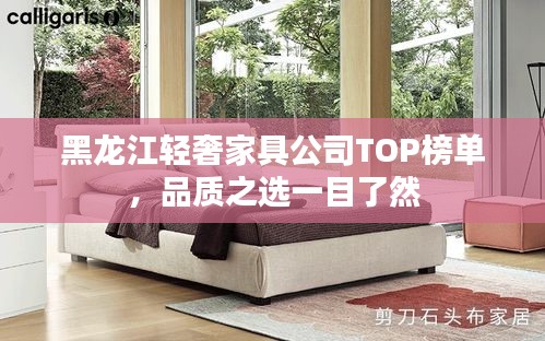 黑龙江轻奢家具公司TOP榜单，品质之选一目了然
