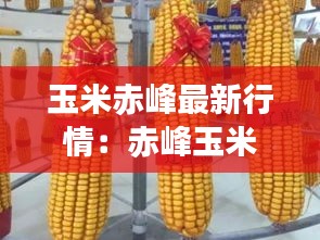玉米赤峰最新行情：赤峰玉米价格 