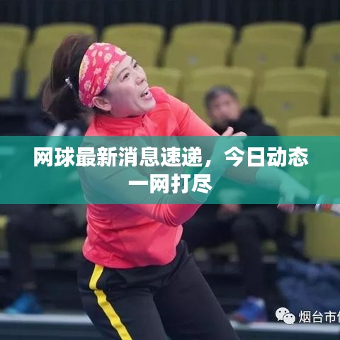 网球最新消息速递，今日动态一网打尽