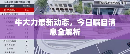牛大力最新动态，今日瞩目消息全解析