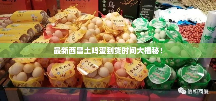 秀外慧中 第3页