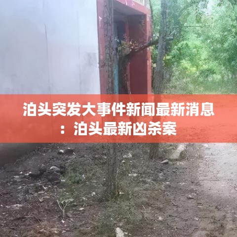 泊头突发大事件新闻最新消息：泊头最新凶杀案 