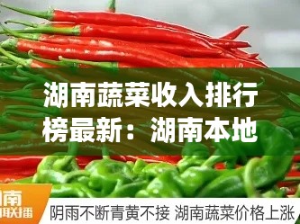 湖南蔬菜收入排行榜最新：湖南本地蔬菜 