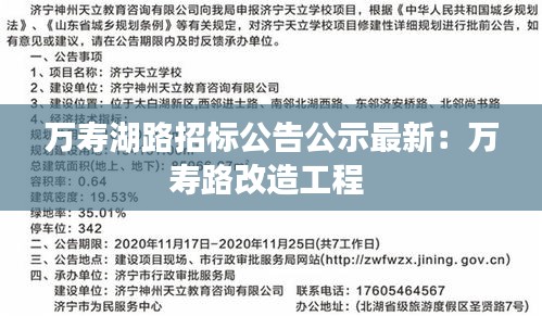 万寿湖路招标公告公示最新：万寿路改造工程 