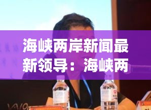 海峡两岸新闻最新领导：海峡两岸副会长 