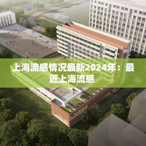 上海流感情况最新2024年：最近上海流感 