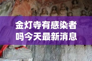 金灯寺有感染者吗今天最新消息：金灯台是几个 