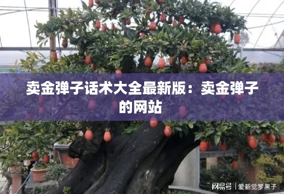 卖金弹子话术大全最新版：卖金弹子的网站 