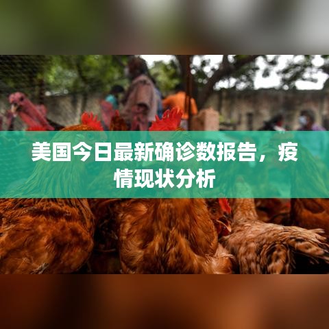 美国今日最新确诊数报告，疫情现状分析