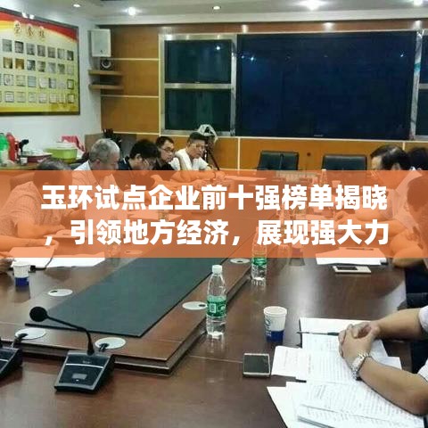 玉环试点企业前十强榜单揭晓，引领地方经济，展现强大力量